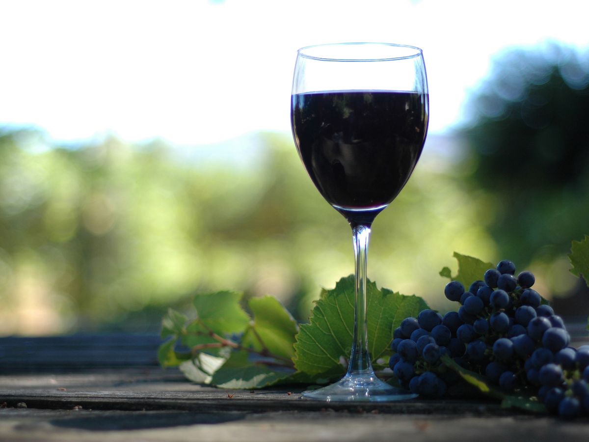 Домашнее вино из винограда изабелла - простой рецепт ⋆ Готовим вкусно, красиво и по-домашнему!
