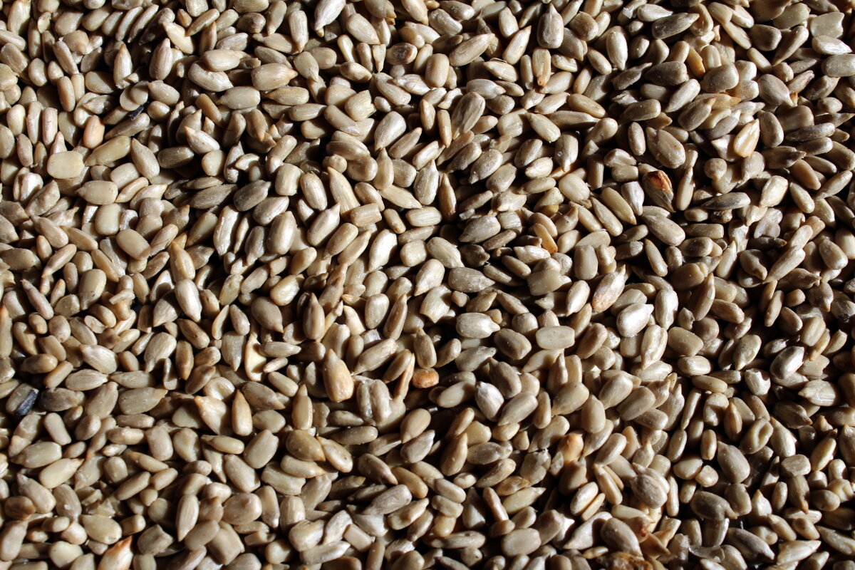 Козинаки из семечек | 🍰 Выпечка без секретов | Дзен