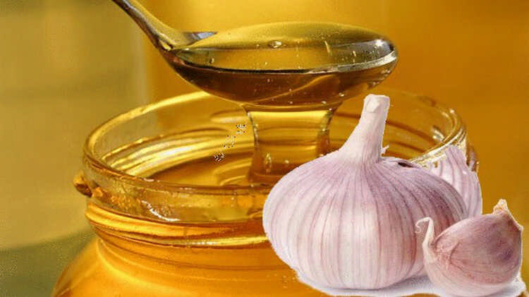 фото из поисковой системы Яндекс