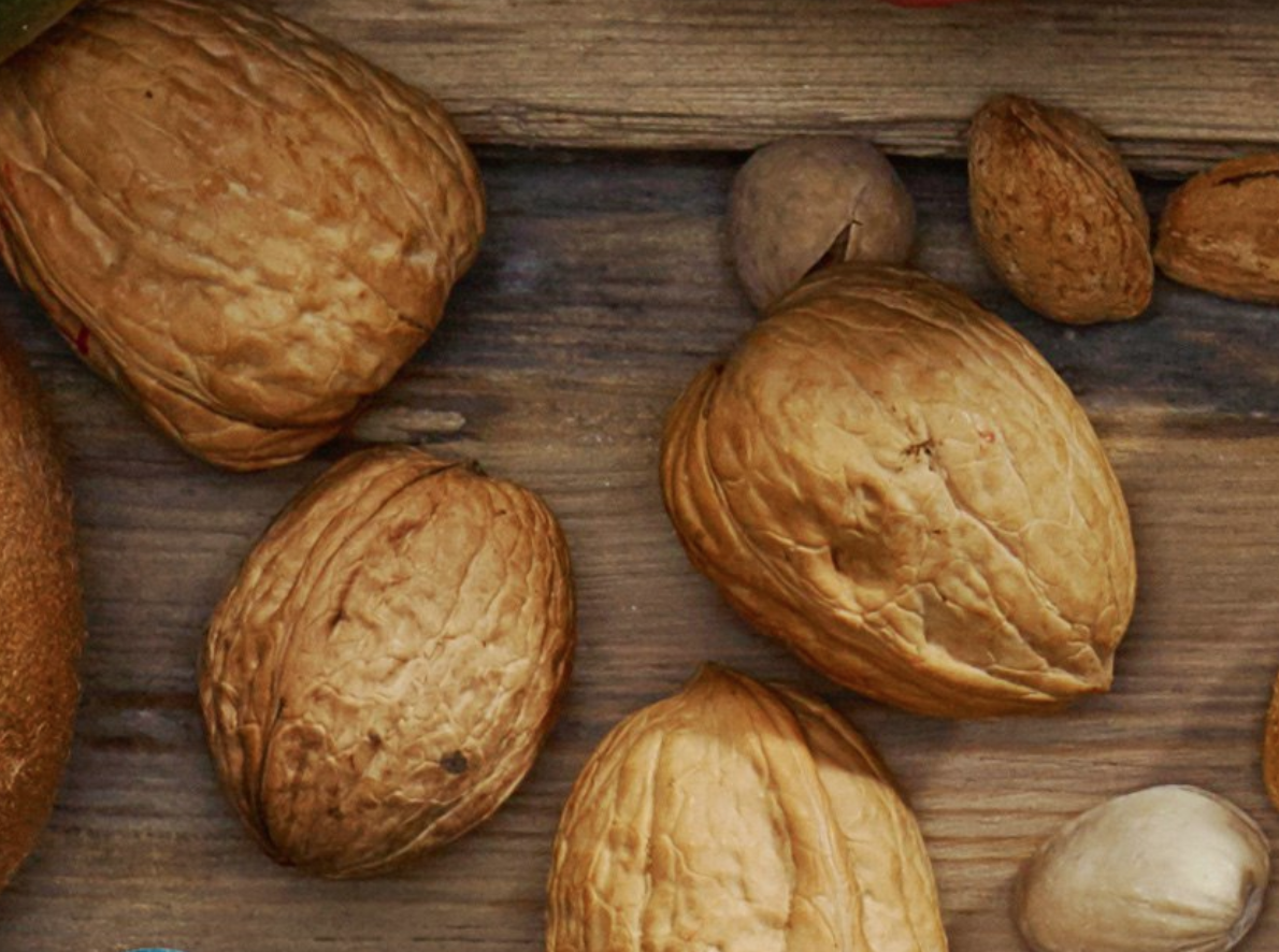 Как называется орех похожий на грецкий. Кленовый пекан орех. Орех пекан (kiowa). Орех похожий на грецкий орех. Орех пекан стюарт.