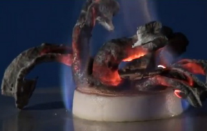 Рожденный глюконатом змей похож на чудище из фильма ужасов