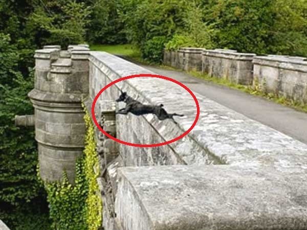 Как Вы считаете, что именно там происходит?