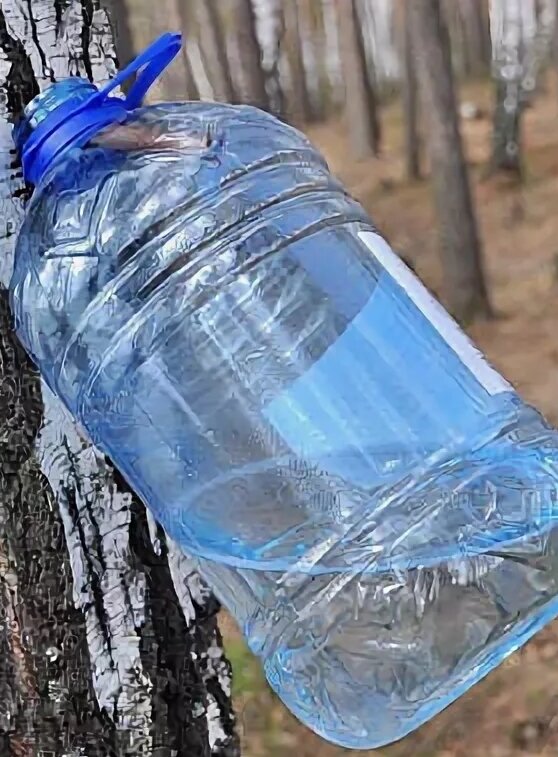 Фото: Яндекс