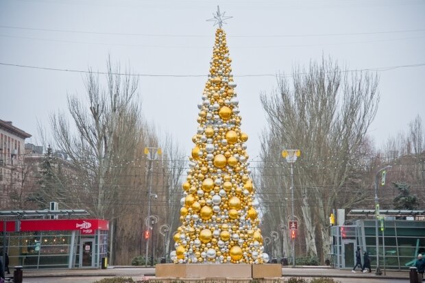 © Фото: ИД «Волгоградская правда» / архив.