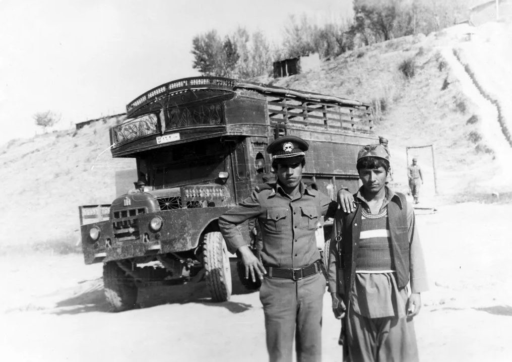 На фоне барбухайки