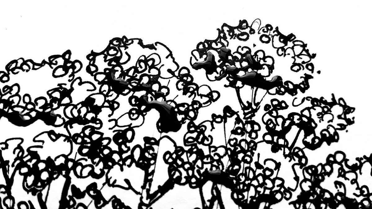Ажурная группа деревьев. Рыхлая группа деревьев как выглядит. Сообщество архитекторов дерево картинка. Перграфика черная. 5 группа деревьев