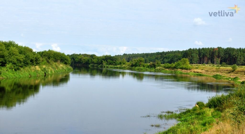 Лечение сапропелевыми грязями в Беларуси