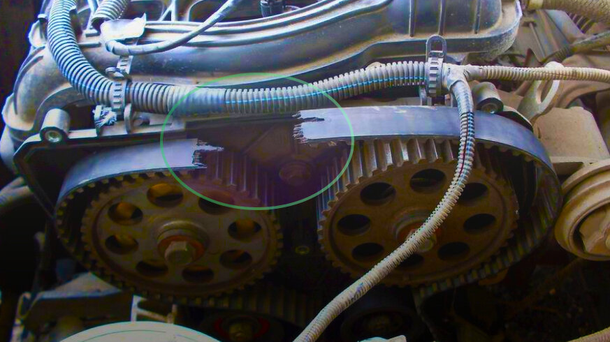 Вот так обрываются новые, дешевые, ремни ГРМ. Автомобиль проехал чуть меньше 1000 км.