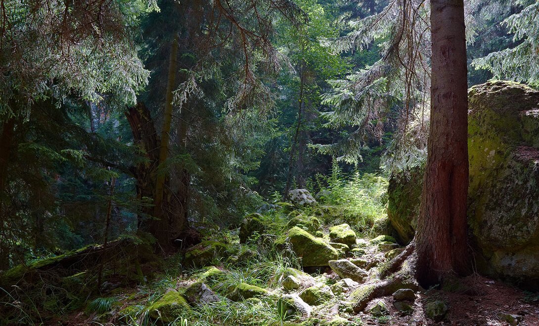 фото из интернета