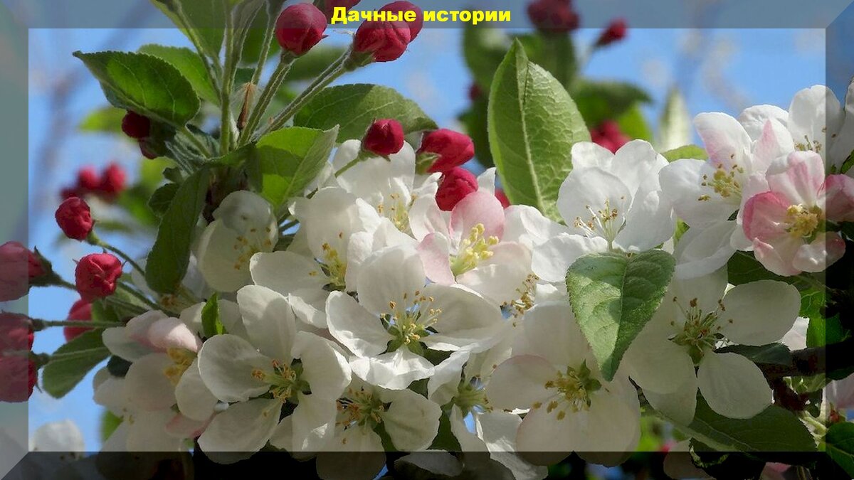 https://vk.com/photo-159774511_456241691
