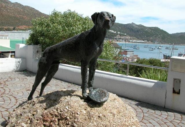 (перед собакой лежит головной убор матроса, визитная карточка моряка)