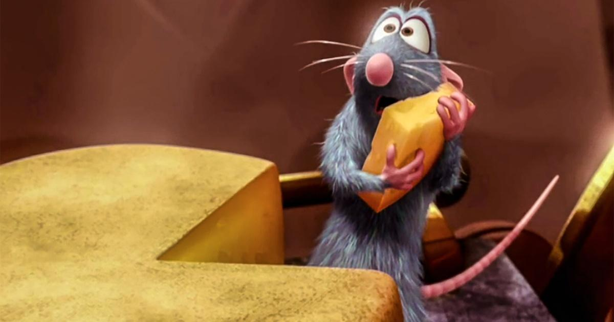 Везде и всюду один стереотип - крыса и сыр. Нет! Нельзя им его! Он для них смертельно опасен!!