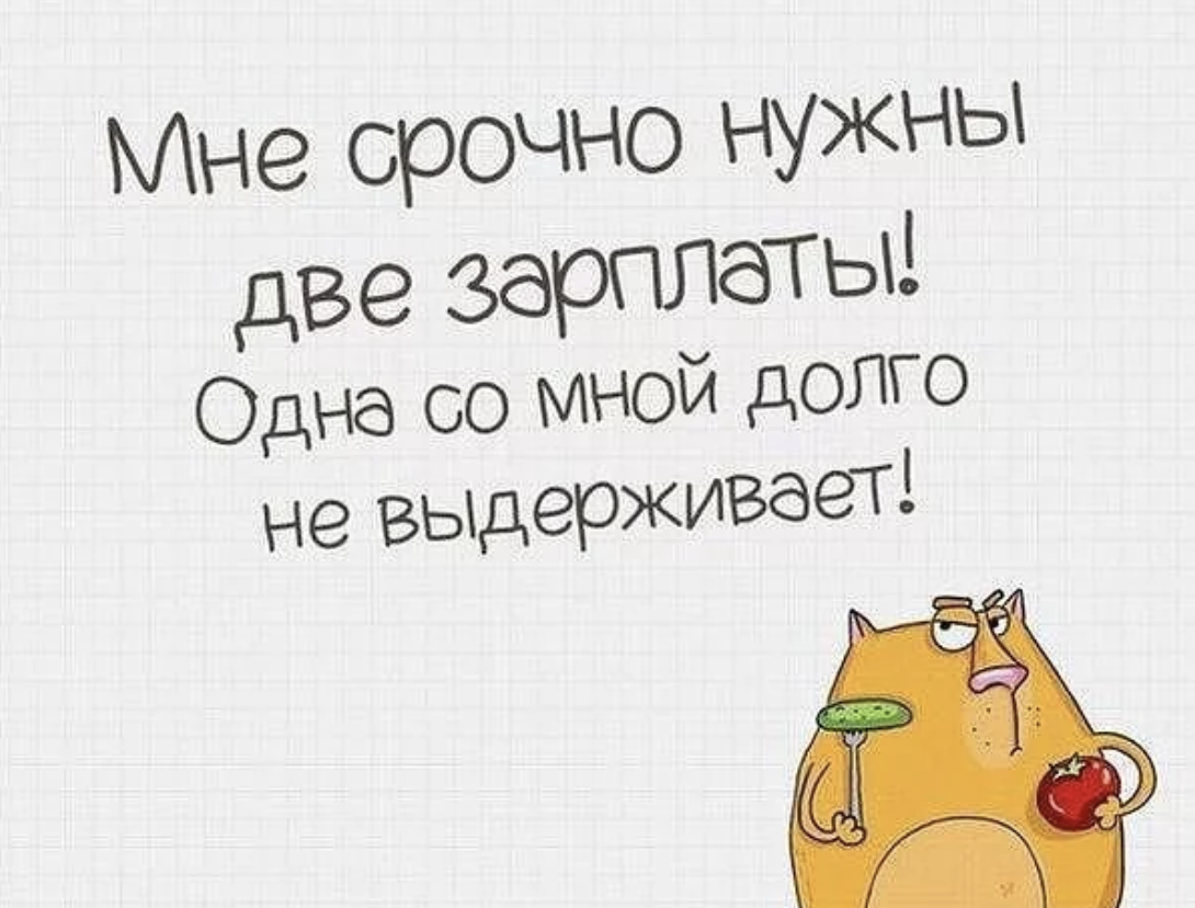 13я зарплата. Смешные цитаты про зарплату. Юмор про зарплату в картинках. Высказывания про зарплату. Открытки про зарплату