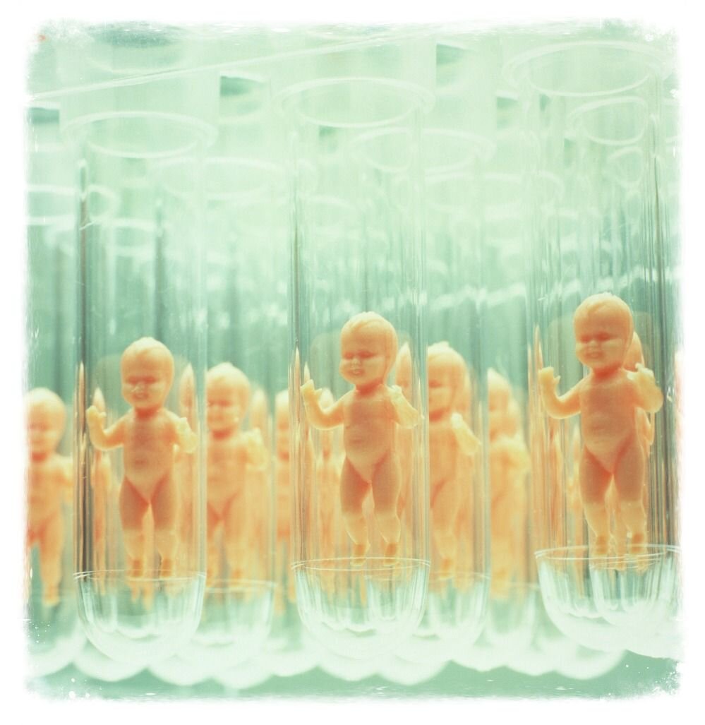 Яйцеклетки смогут выращивать из кожи