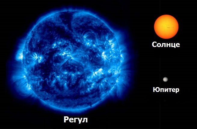 Размер Регула