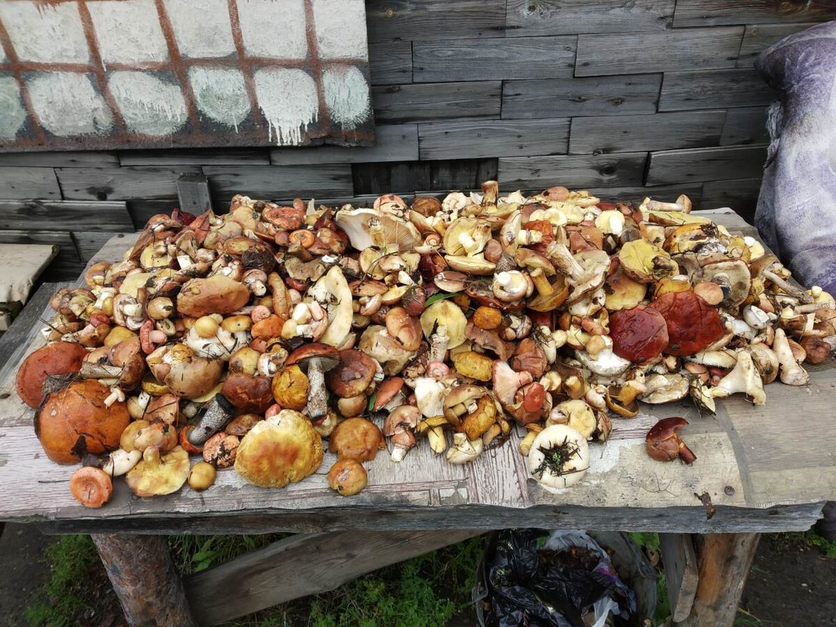 Фото: Ольга Явон, социальная сеть ВКонтакте