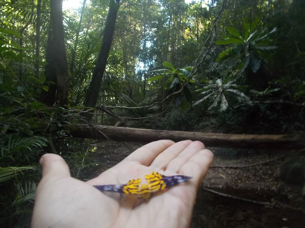 Фото из личного архива путешественников