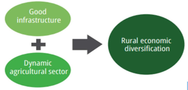 Figure 1. Economic Diversification of the rural economy (Barrett et al., 2001).