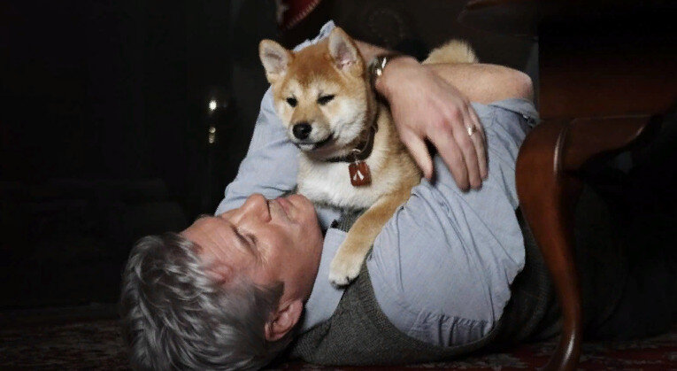 кадр из фильма "Хатико"