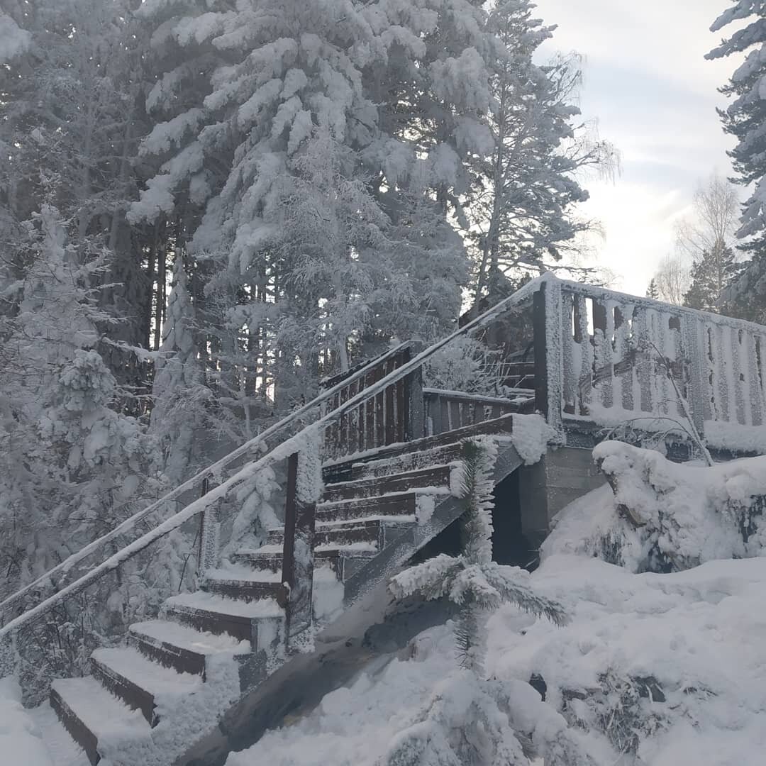 На берегах Енисея