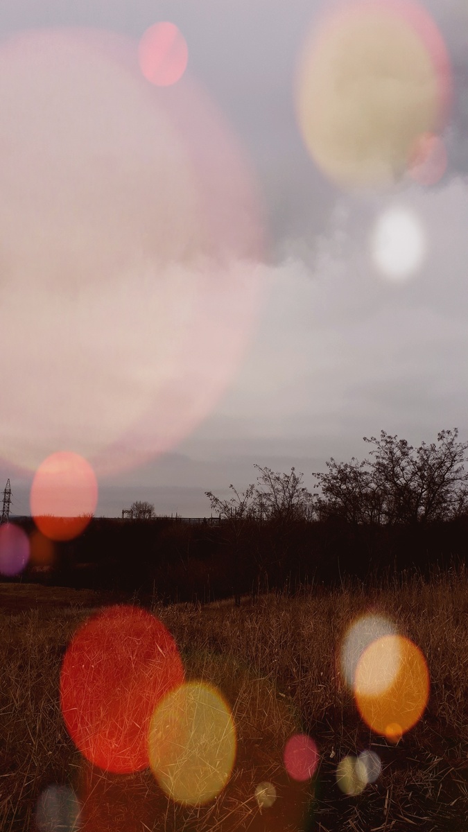 краски   будней   провинции