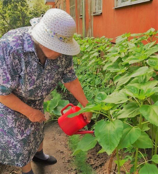 Бабушкины советы всегда помогают