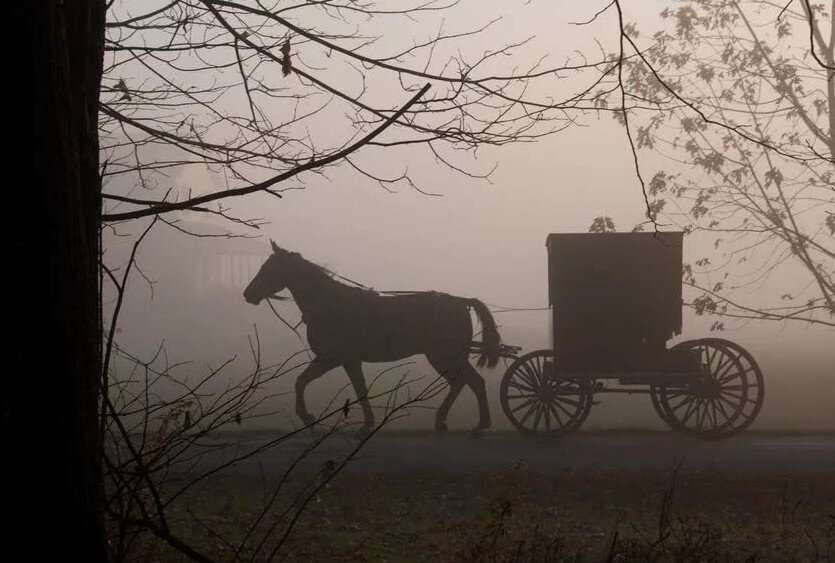 В конце XIX века в США в штате Коннектикут на одной из дорог, ведущих на север от Манчестера, стоял старинный особняк, пользовавшийся дурной славой. Говорили, что там пропала семья из семи человек.-2