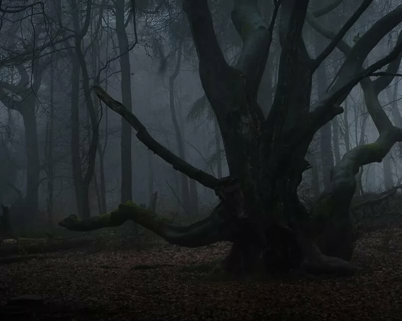 Фото из Яндекс.Картинки