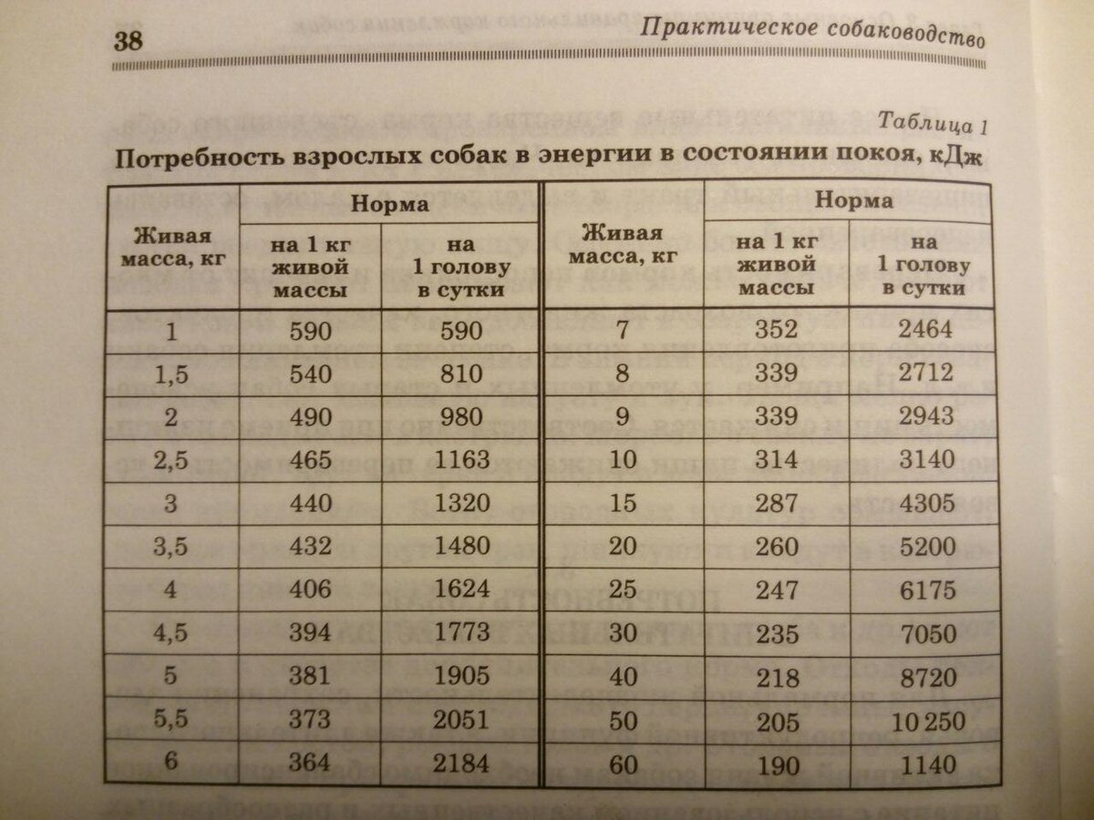 Из книги "Практическое собаководство", Т.А. Фаритов, Ф.С. Хазиахметов, Е.А. Платонов, издательство Лань, 2012.
