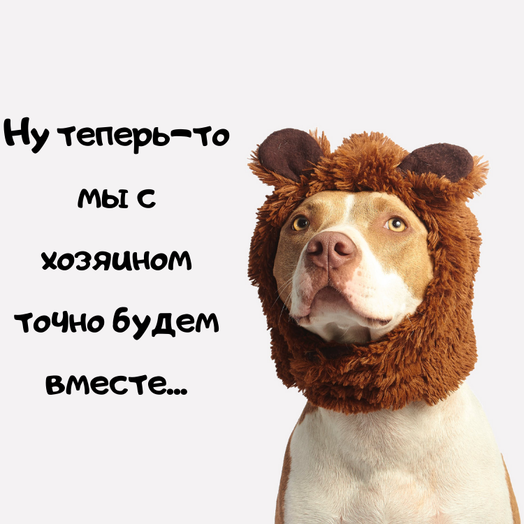 А ведь правда: кому-то занятие найдут их домашние животные; и не на один день :)
