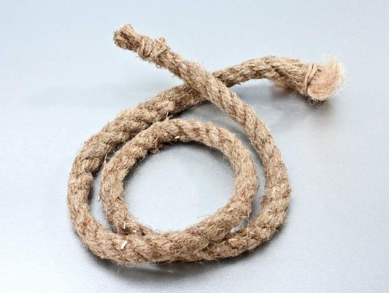 Источник фото: https://borodatiyvopros.com/wp-content/uploads/2018/11/%D0%B2%D0%B5%D1%80%D0%B5%D0%B2%D0%BA%D0%B0.jpeg