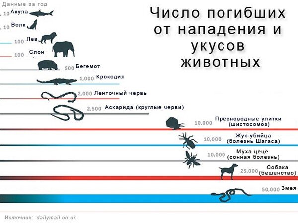Средние данные смертей от некоторых животных за год.