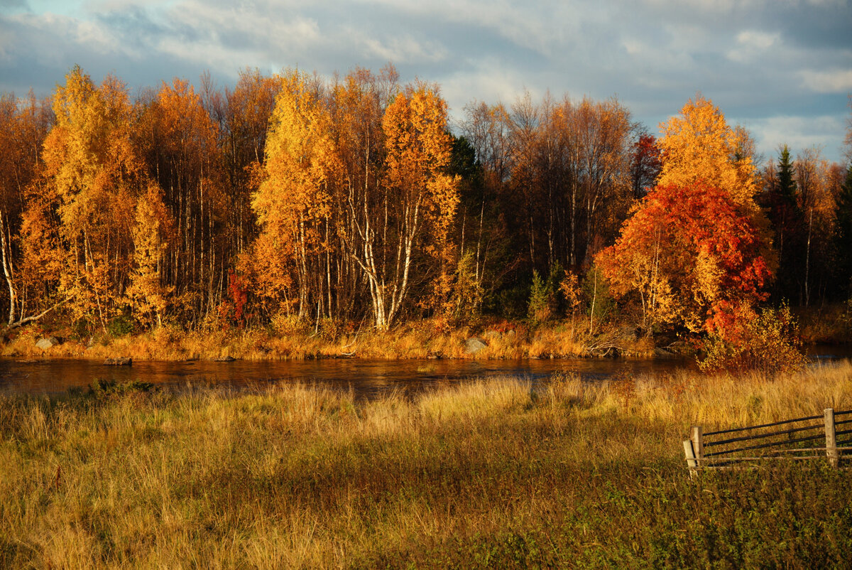 Осенние пейзажи осени. Осенний пейзаж. Природа осенью. Осень в России. Сентябрь природа.