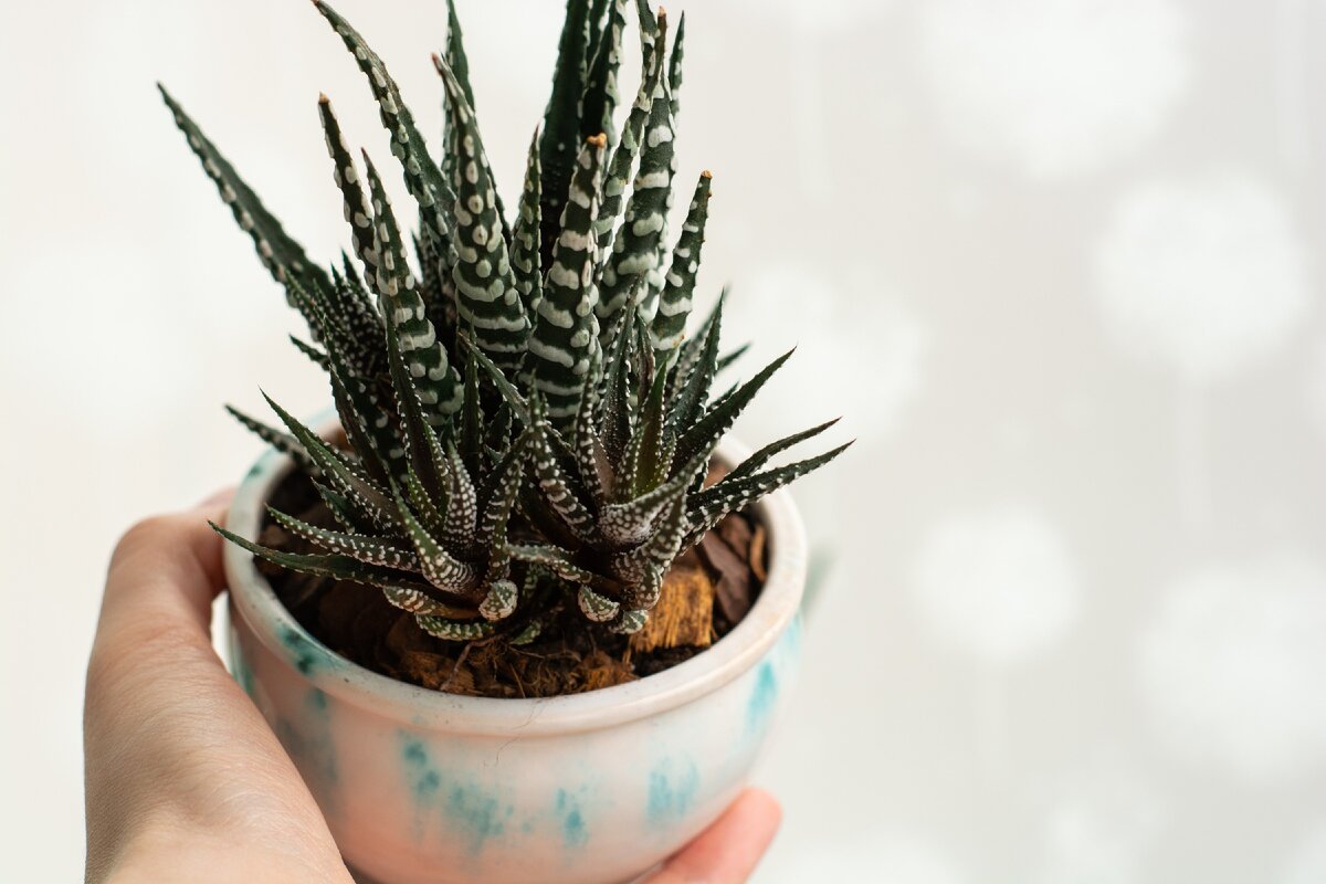Photo by Marie P on Unsplash