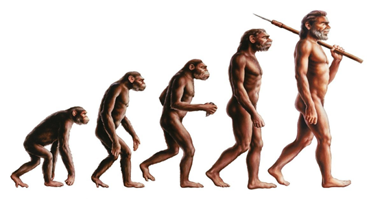 Эволюция – это процесс возникновение более сложной формы жизни из более простейшей.
Чарлз Дарвин первым сформулировал теорию эволюции путём естественного отбора.