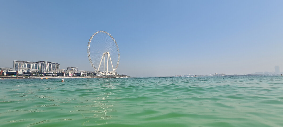 Вид на Ain Dubai, фото автора