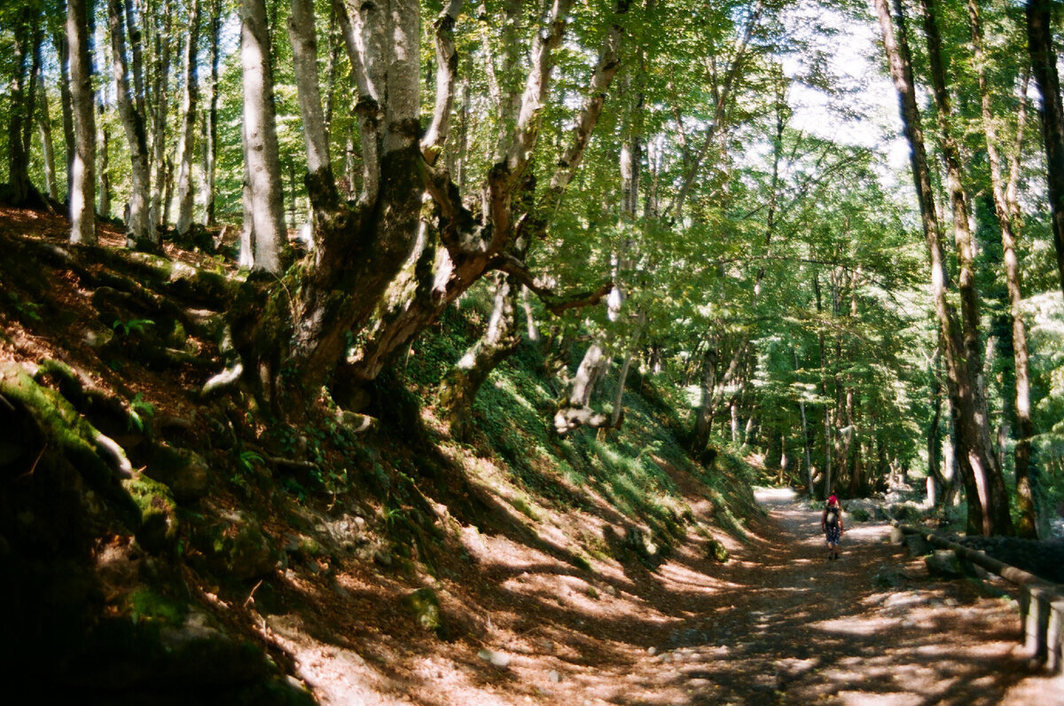 Дорожка от парковки до русла реки Нинасхеви.