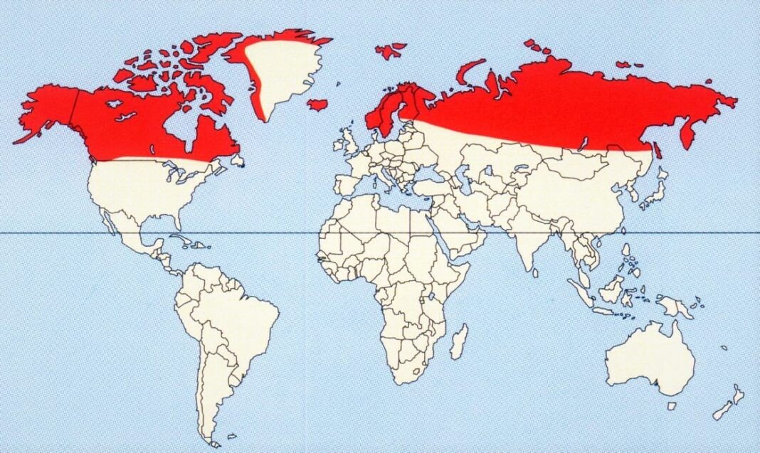 Карта мир на севере жить