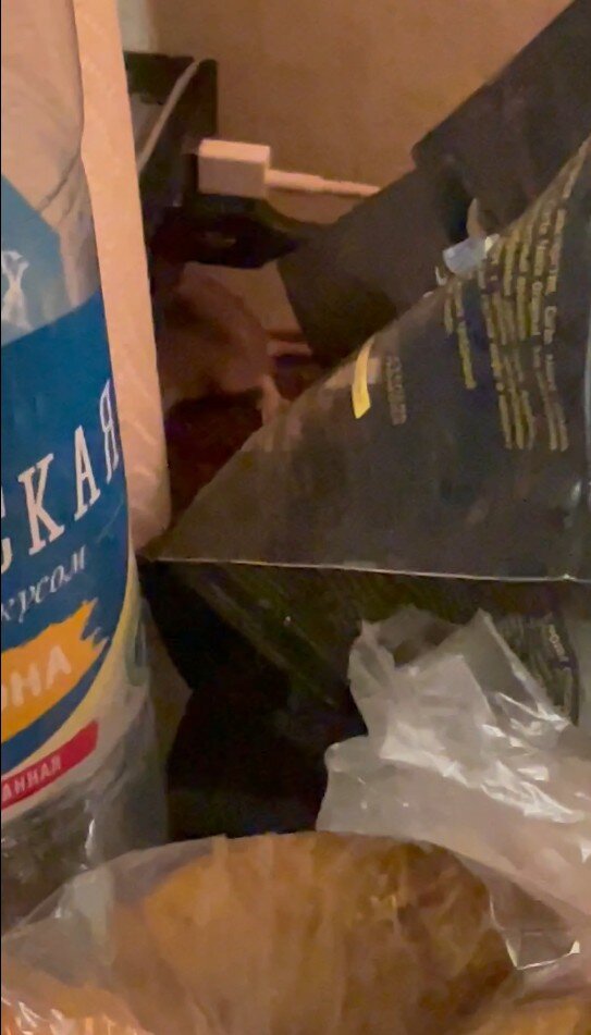 Сама мышь на столе видно сверху прямо у продуктов и посуды