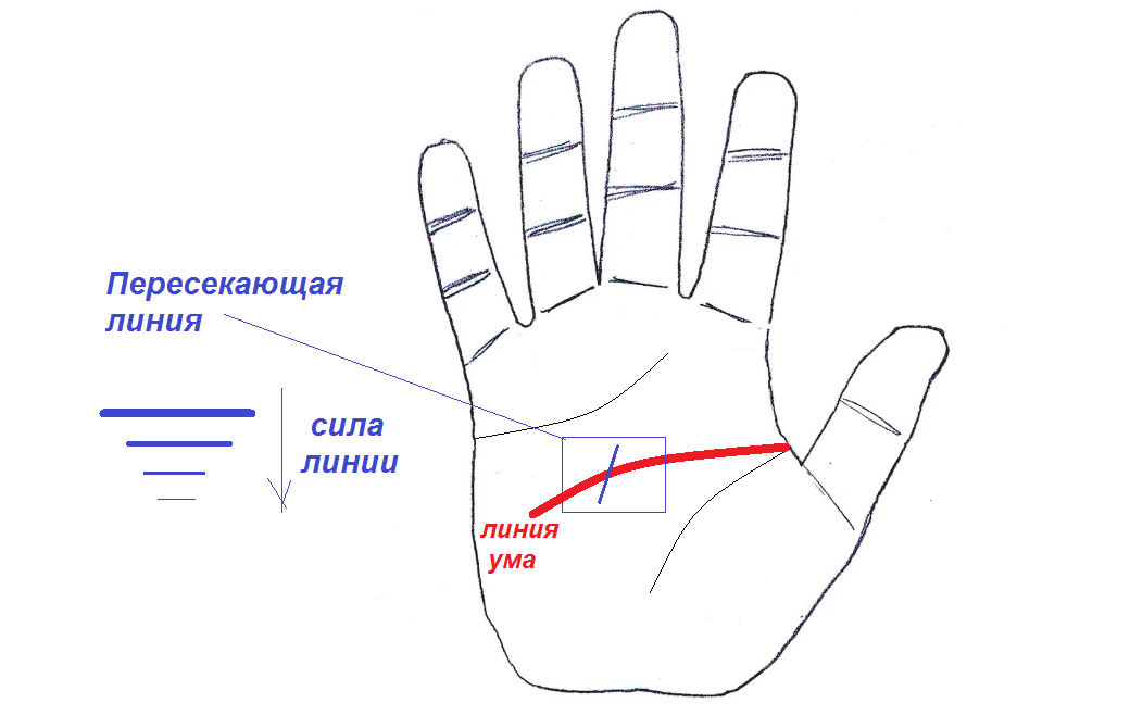 Линию ума пересекает