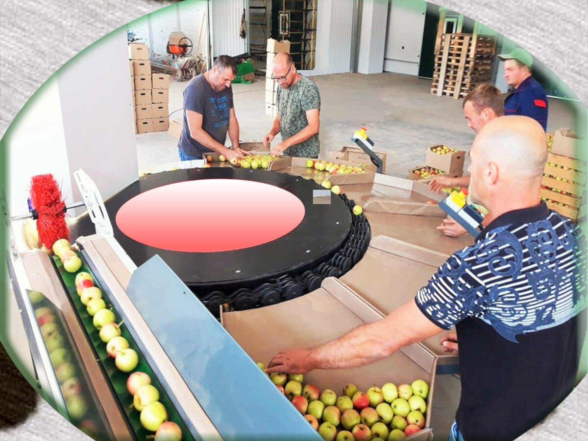 Линия фасовки фруктов