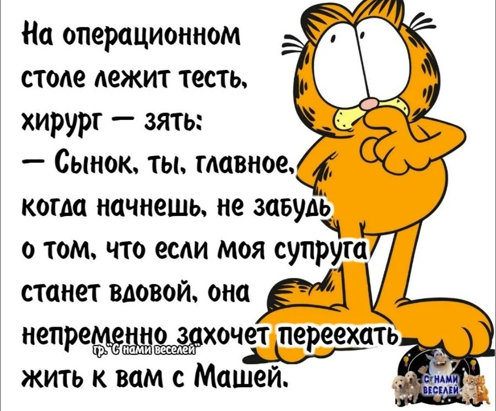 Анекдот про красивое. Анекдоты. Смешные анекдоты. Смешные шутки. Прикольные анекдоты.