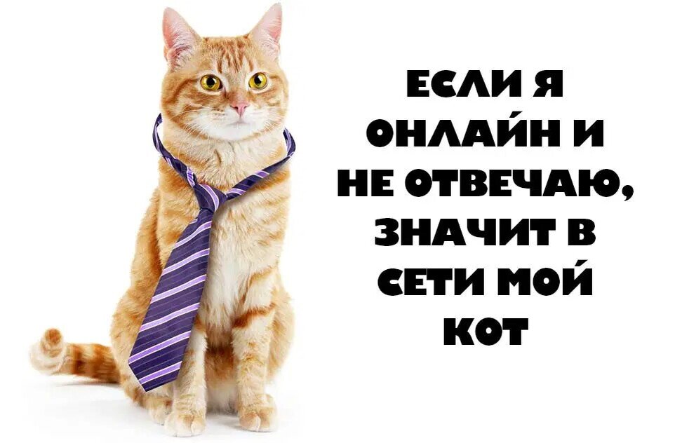 Поставьте себе на аватарку в дзене)