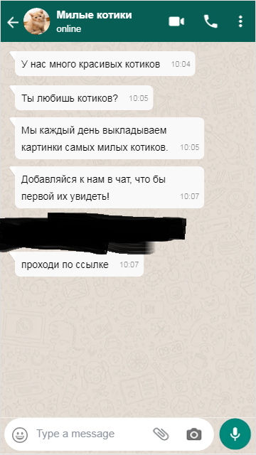 Учите детей не переходить по ссылкам от неизвестных людей