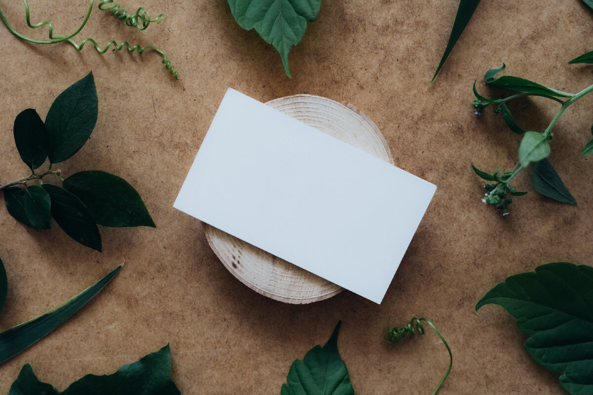 Фото автора PNW Production: Pexels