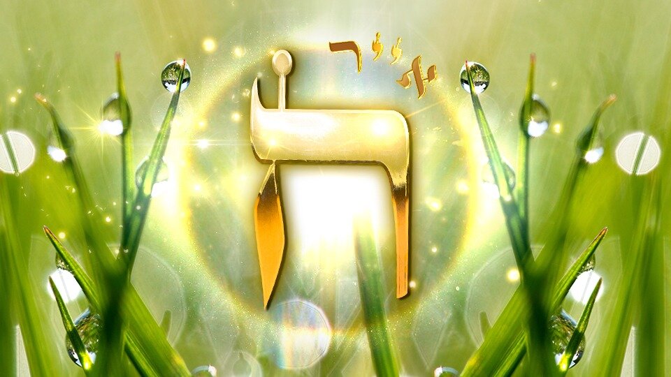 https://silatehilim.com/8-ияра-йом-меюхад-особый-день/