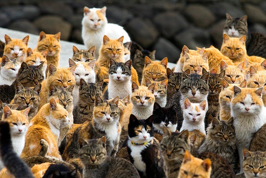 Изображение взято из поисковой системы google