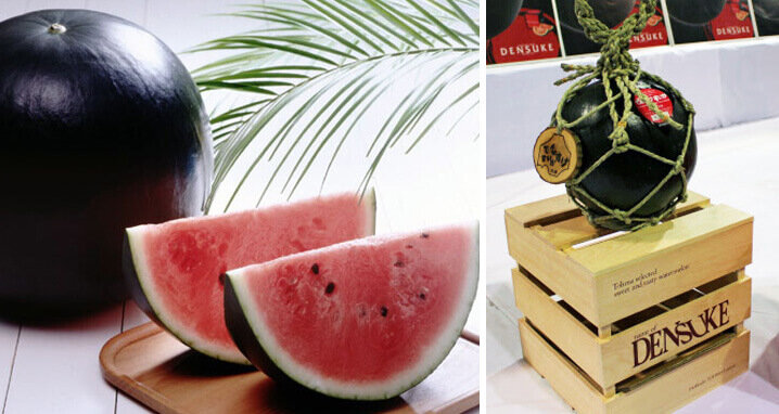 Черный арбуз из Японии