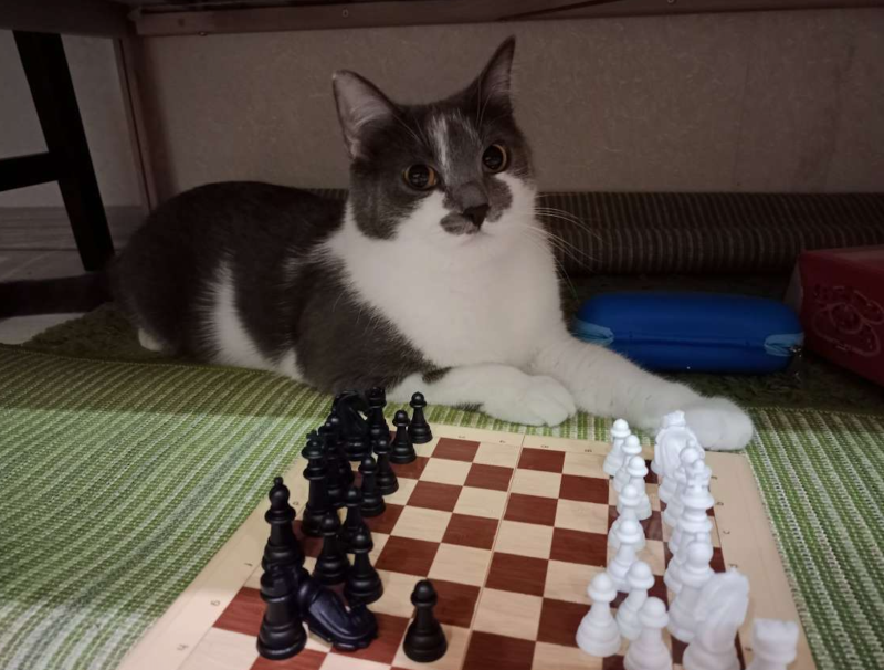 -2
