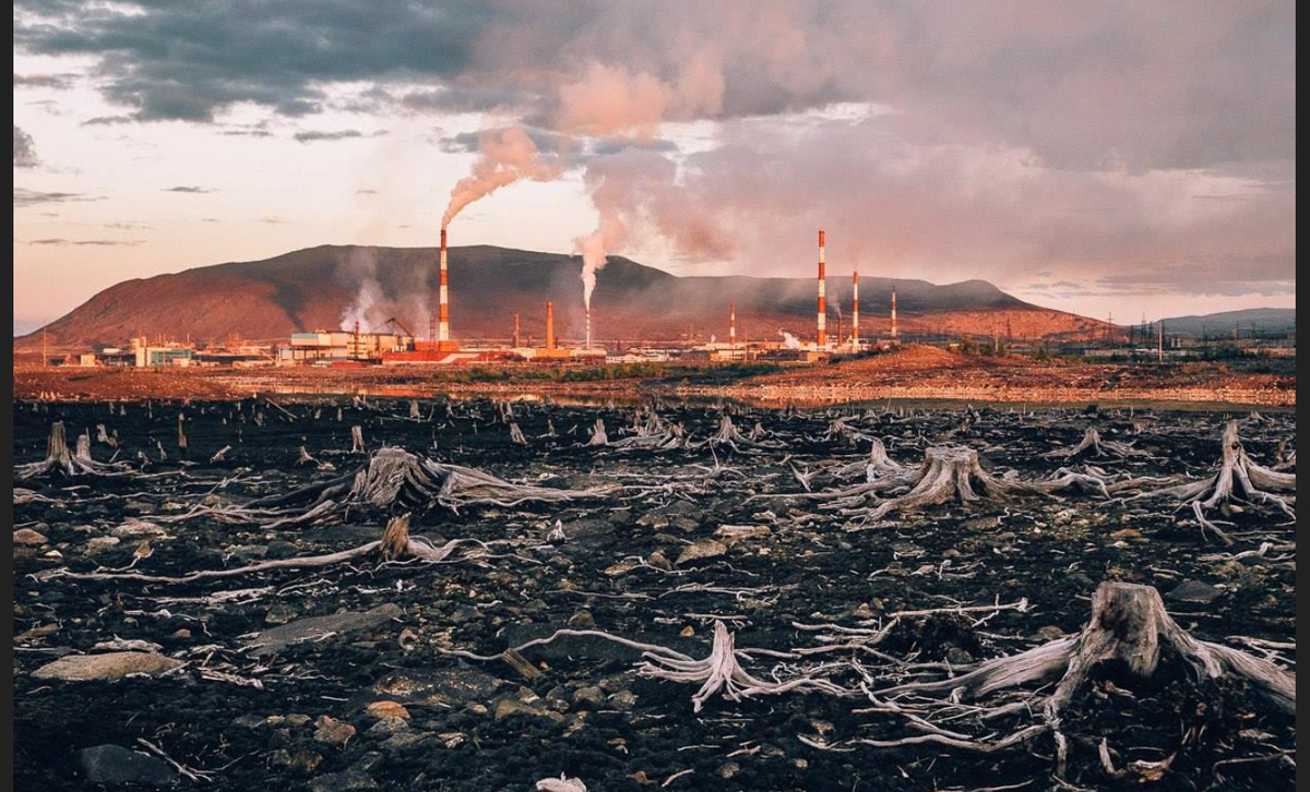 Фото из открытого источника в Яндексе